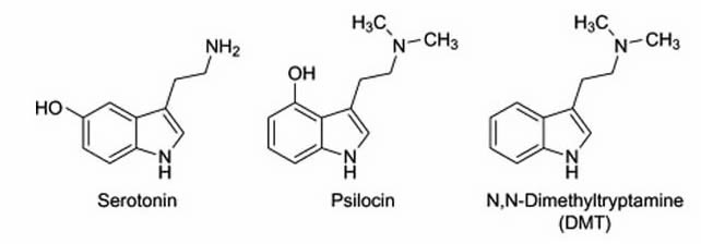 Молекулите на ДМТ, псилоцин и серотонин